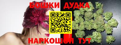 индика Краснодар