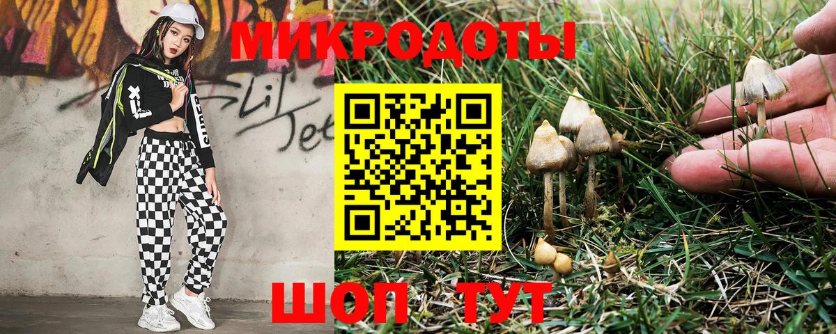 Галлюциногенные грибы Cubensis Карачаевск